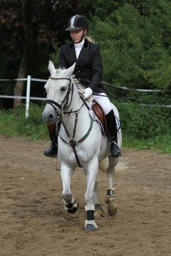 Bild 1260 - WBO-Turnier am 18.9.11